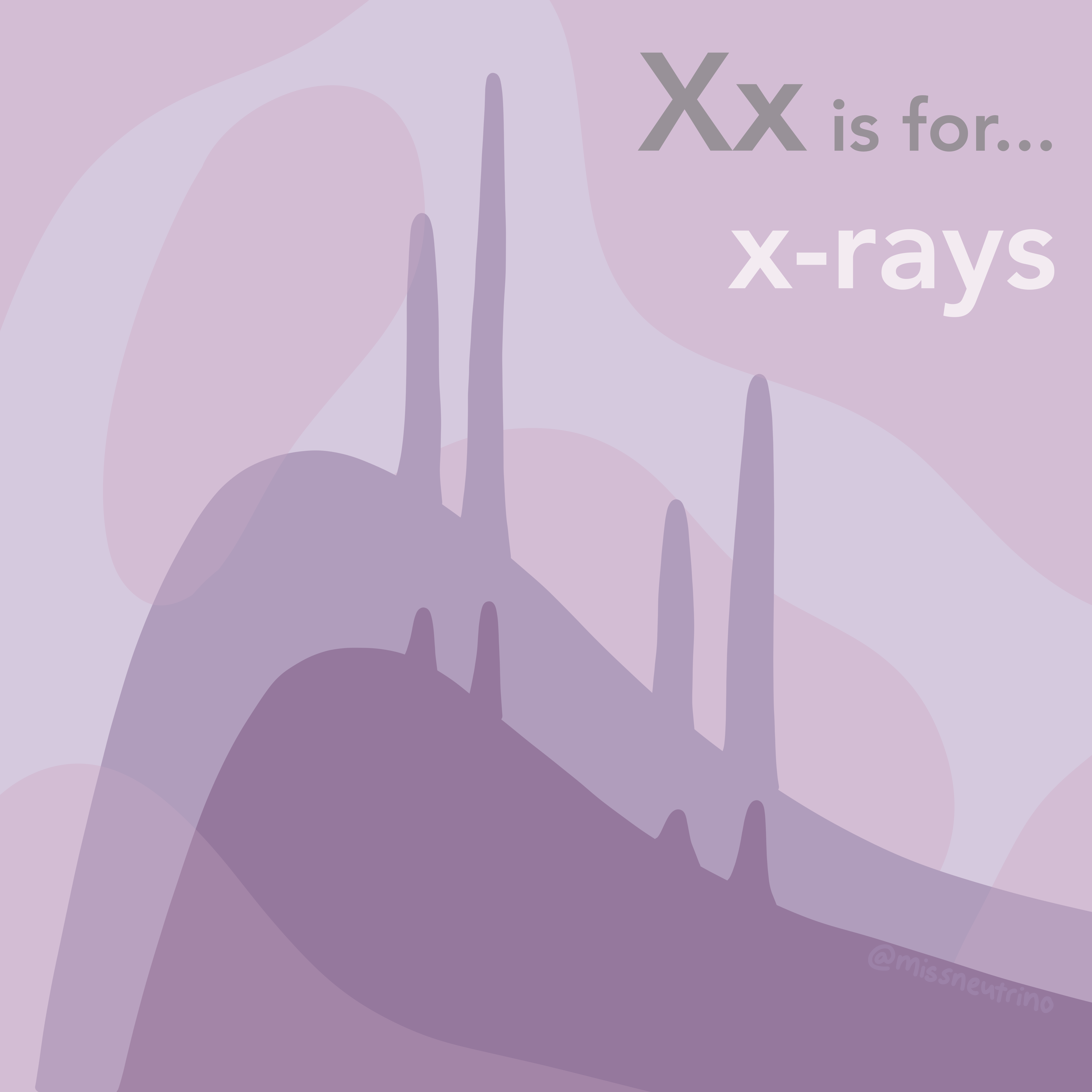 Xx 2